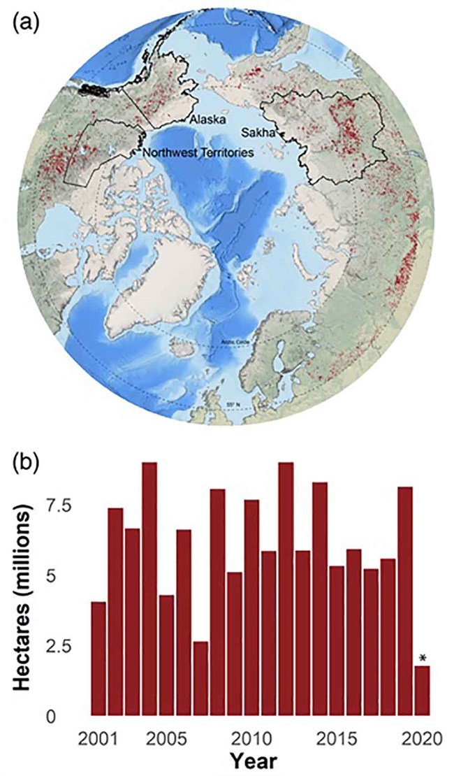 Circumpolar map of fires with a bar chart of extent of fires.