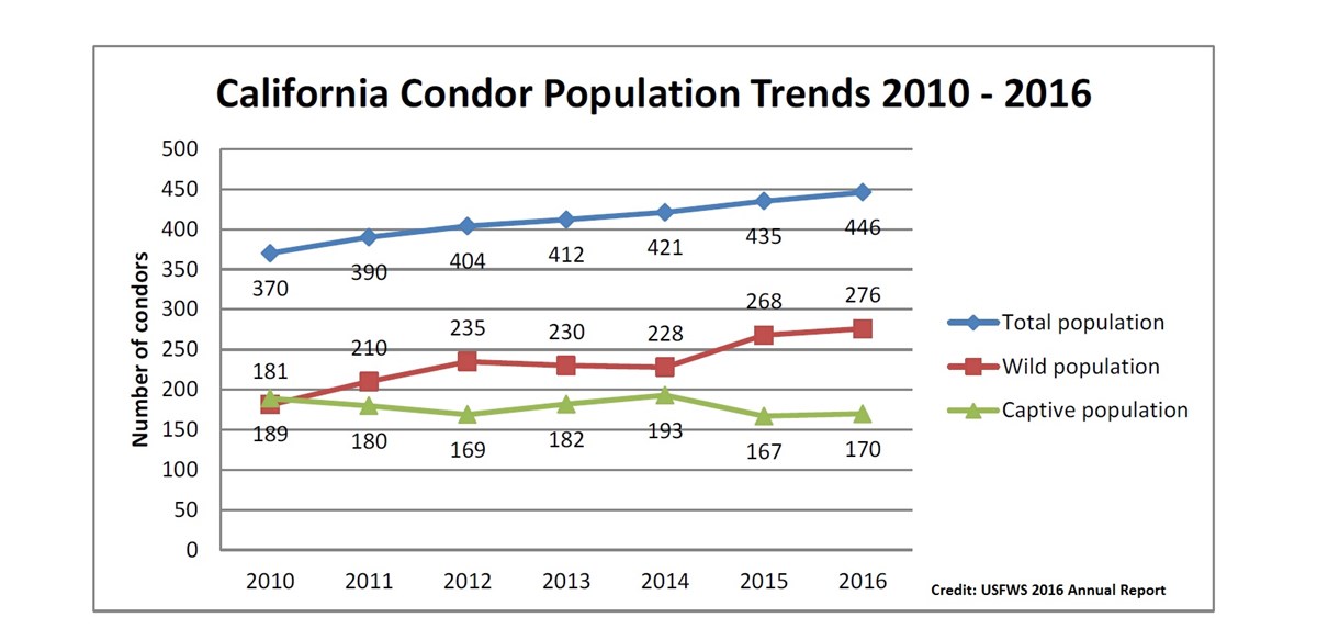 World CA Condor Update 2016 Population Status (U.S. National Park