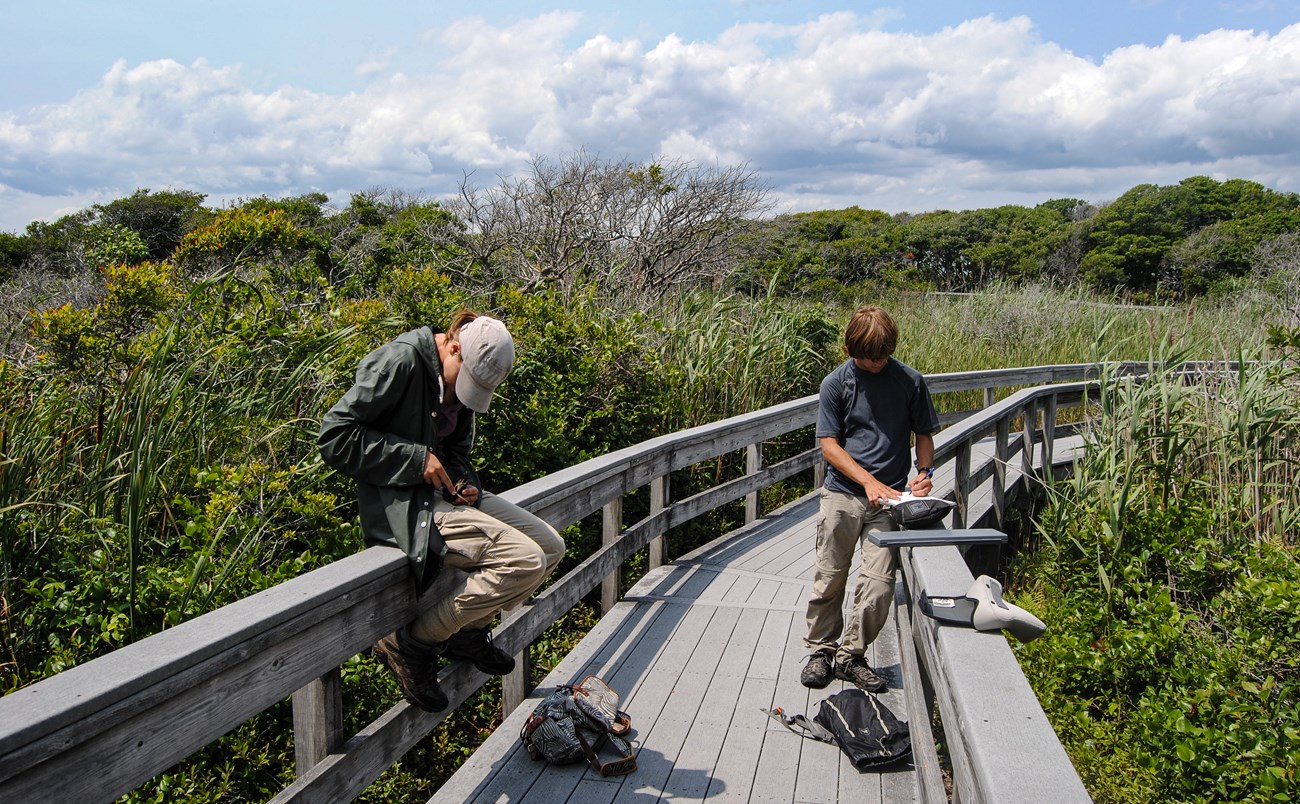 lt= student researchers stand on a boardwalk over marshland at Fire Island National Seashore