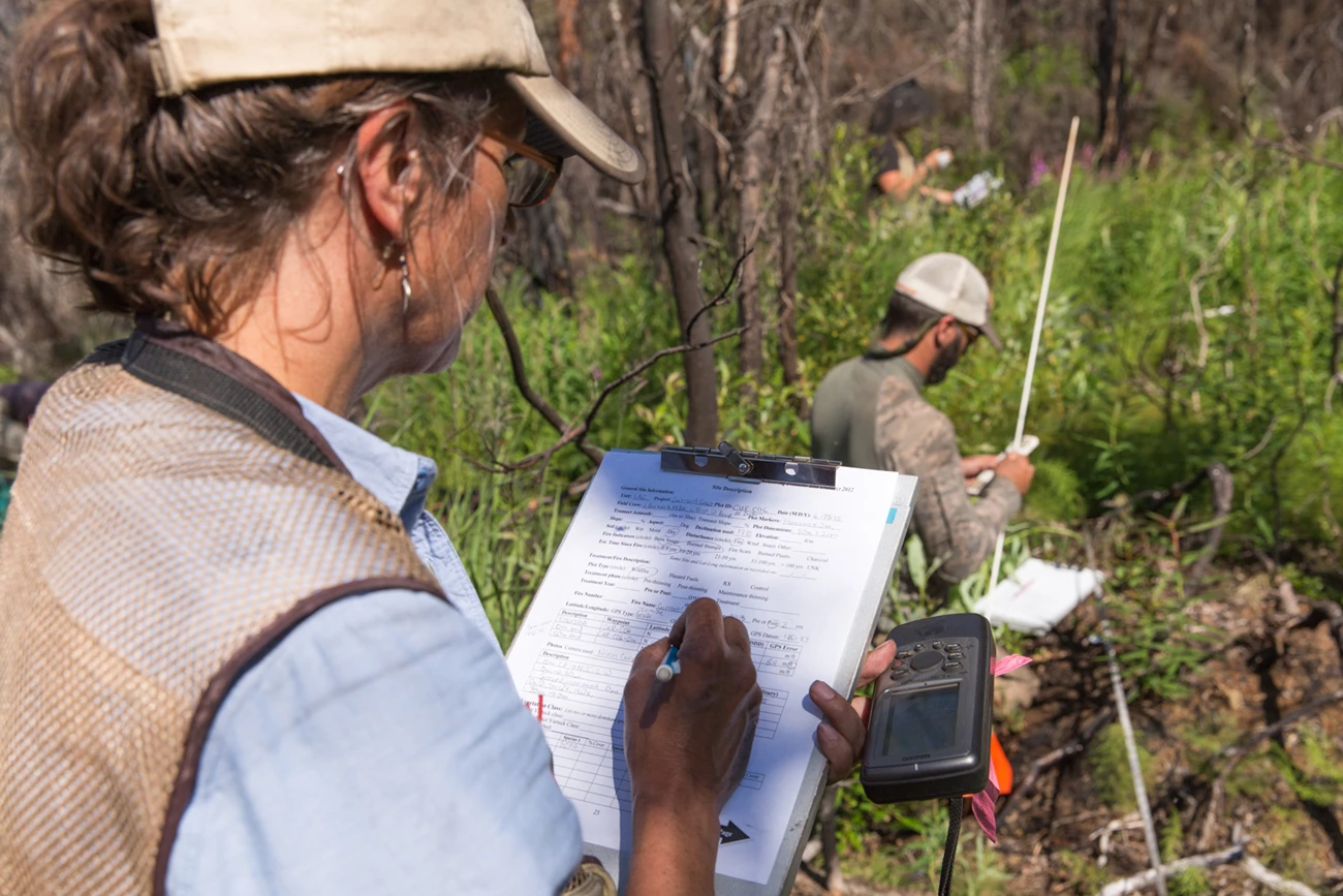 Fire ecology work at Lake Clark National Park and Preserve A woman writes on a piece of paper while a person in the background holds a measuring tool.