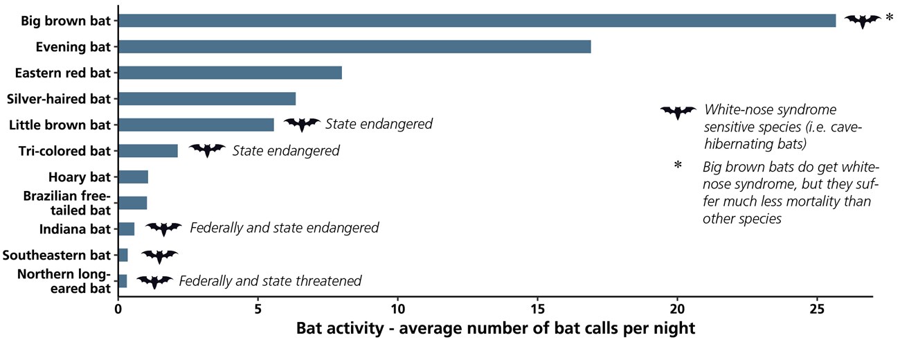 Bar chart showing bat species activity based on the number of recorded bat calls in the park.