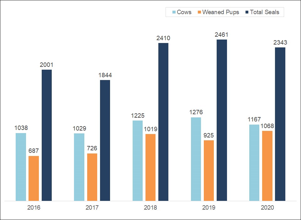 Peak numbers of total elephant seals, elephant seal cows, and weaned pups mostly rising over the last five years.