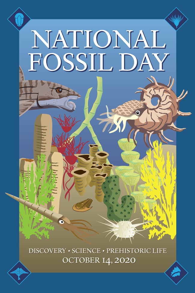 Fossils Of The National Fossil Day Artwork U S National Park Service