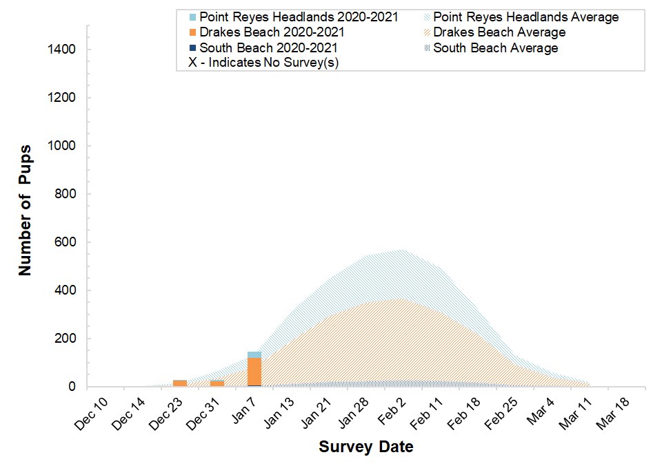 Elephant Seal Monitoring Season Summary Winter 19 U S National Park Service