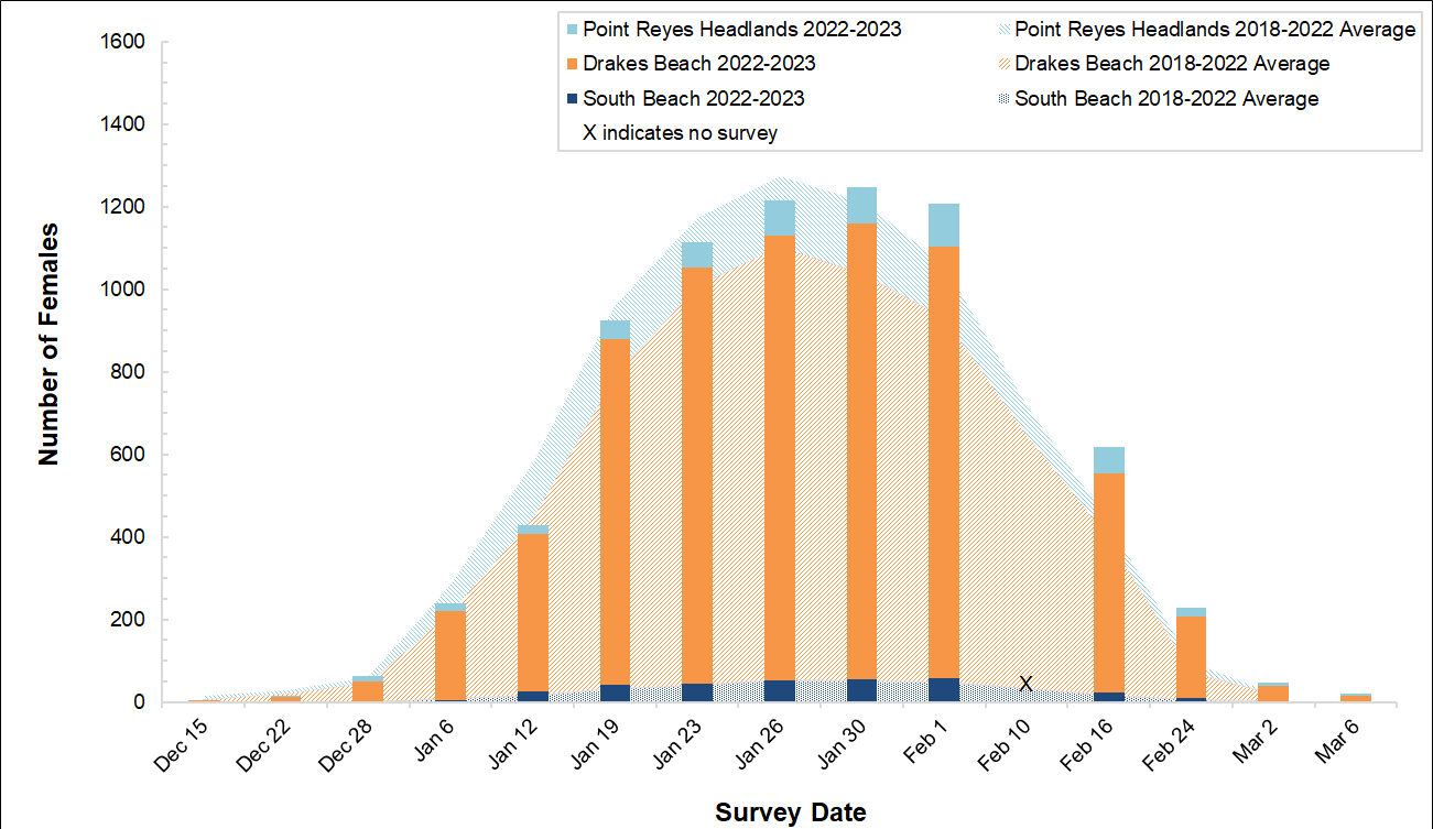 Stacked bar graph of female elephant seal counts at three colonies in Point Reyes in 2022-2023 by survey date, overlayed on a stacked area graph showing the average number of females surveyed at the colonies between 2018 and 2022.