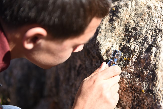 Students study lichen A student holding a small magnifying glass examines a lichen sample on a rock.