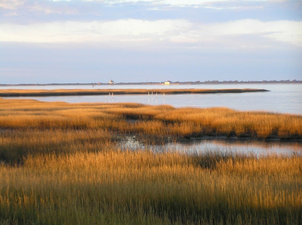 a view of a salt marsh at sunset