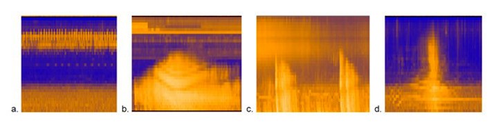 Four spectrograms show frequency range of bird song, a jet, thunder, and a vehicle