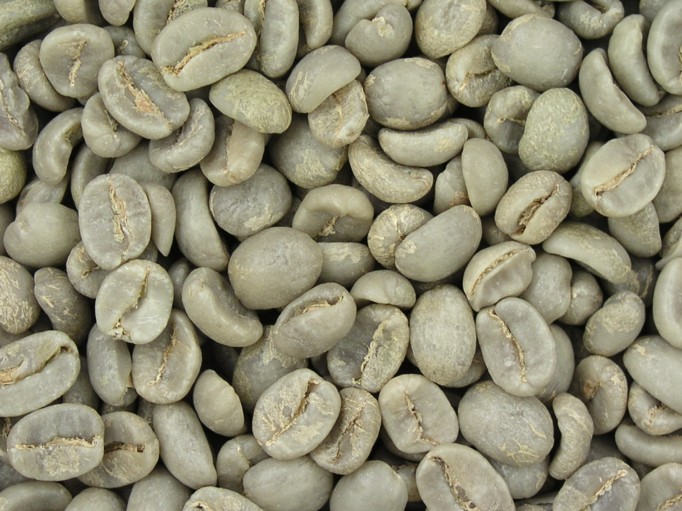 Closeup image of green coffee beans.