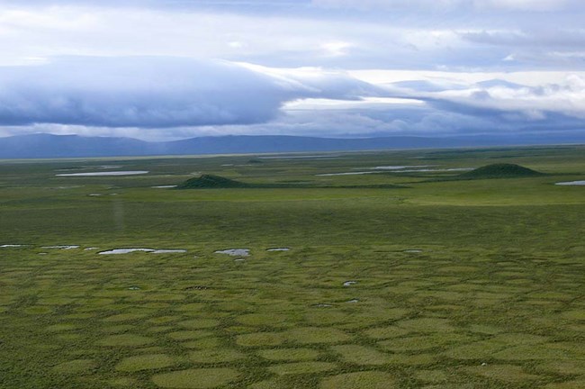 The Arctic permafrost landscape showing tundra with permafrost polygons and pingos.