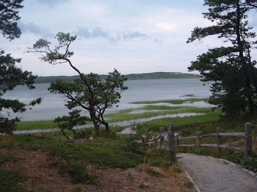 gravel trail leads down to body of water