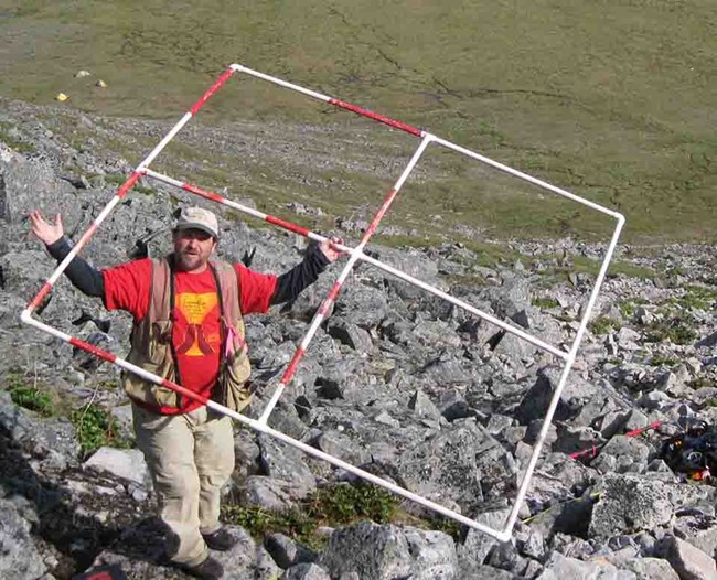 Carl Roland on a rock slope with a frame to measure vegetation plots.