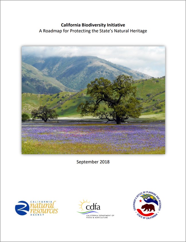 Cover page of "California Biodiversity Initiative: A Roadmap for Protecting the State’s Natural Heritage"