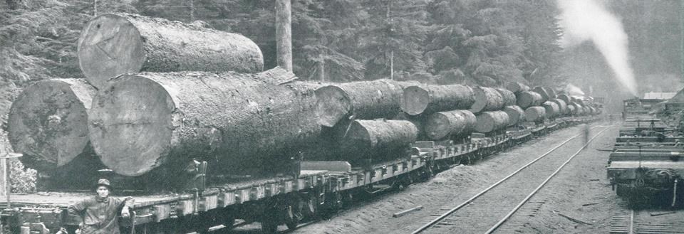 SPD logs Photo of spruce logs on a railroad car