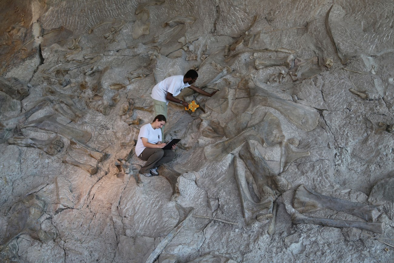 DINO_2014_GIP_Otoo_Ben_photo5_fundamentals_extinction dinosaur quarry