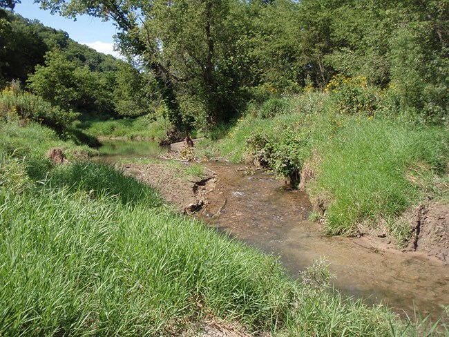 Dousman Creek at Effigy Mounds National Monument