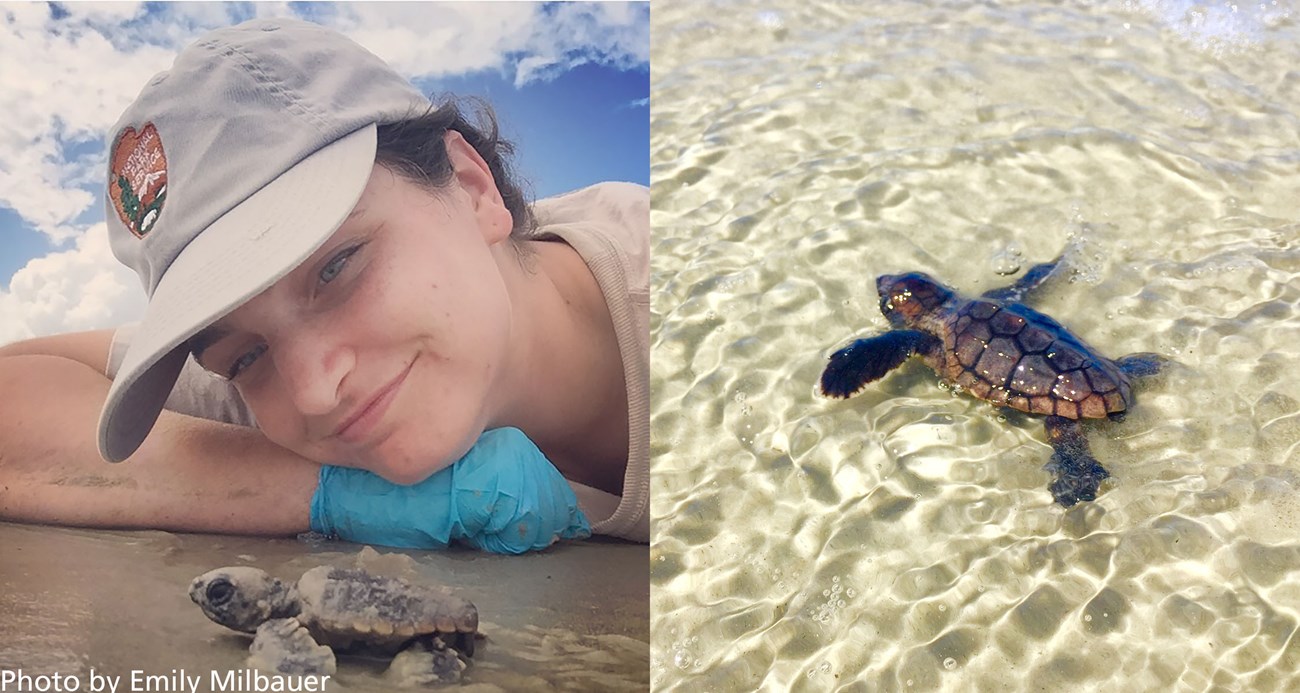 Girl's face looks over a small sea turtle in the water. Right, a sea turtle underwater.