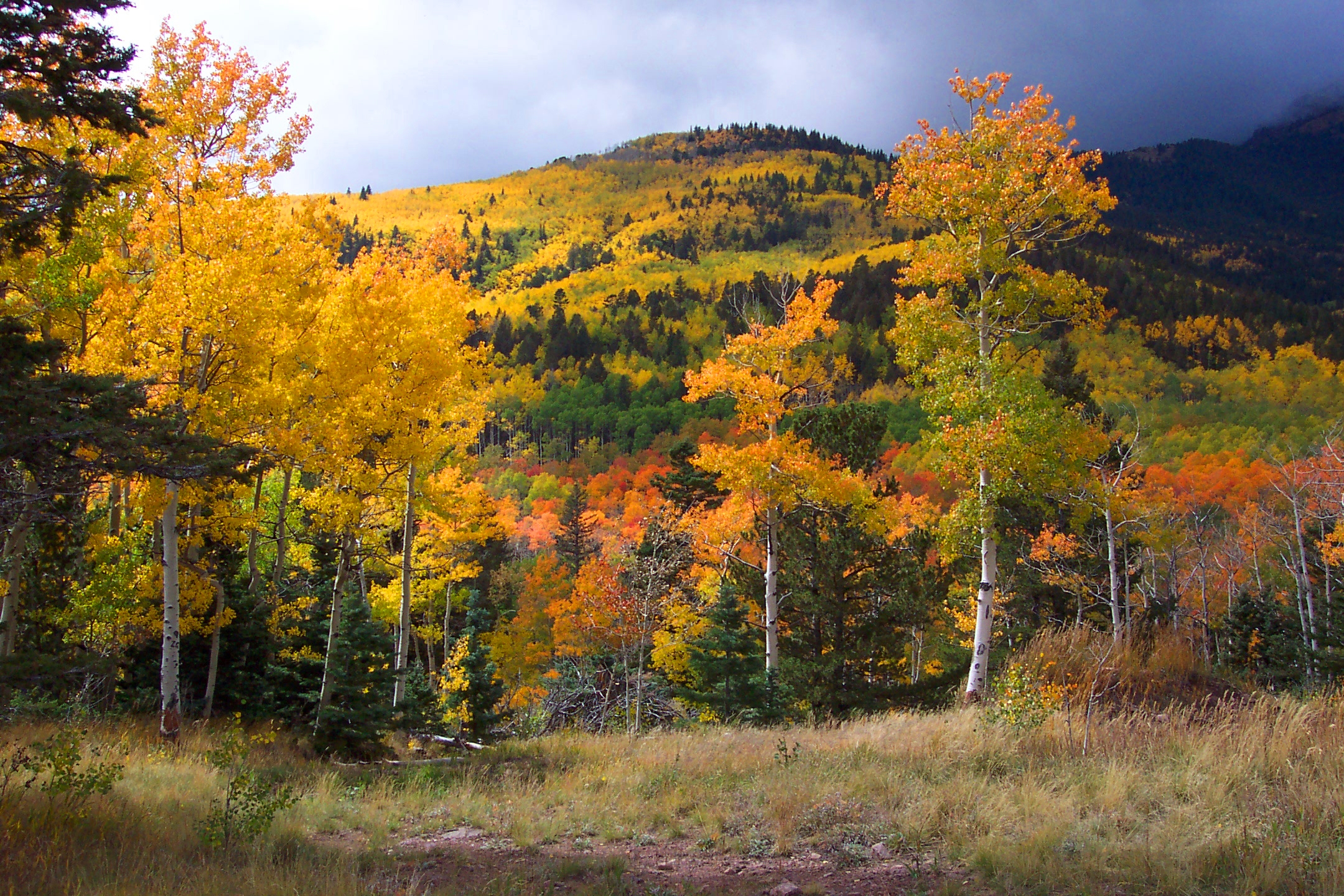 Fall Color on Display at Alabama's State Parks