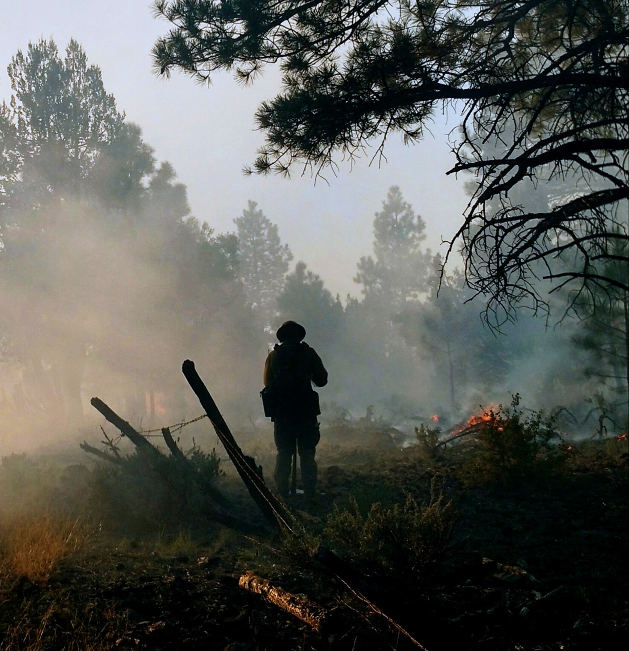 Firefighter protects a fence from fire during a prescribed burn