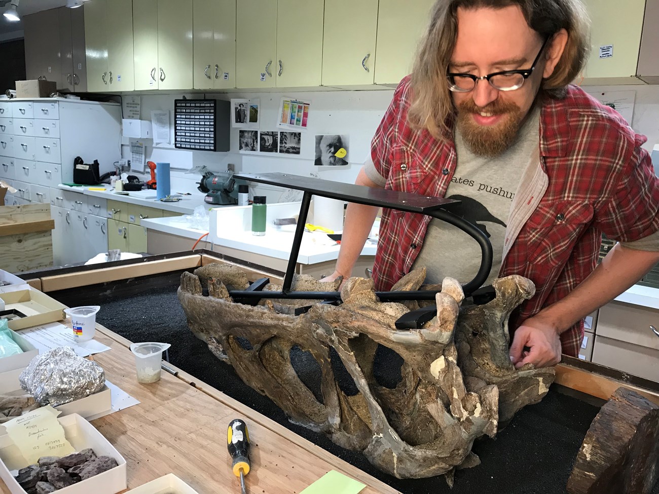Fig2 person working on a fossil skull in a laboratory
