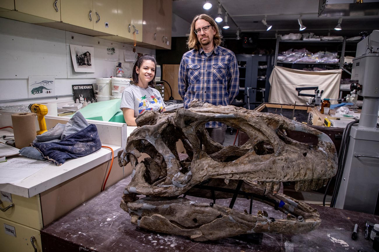 Fig4 reassembled skull on lab table