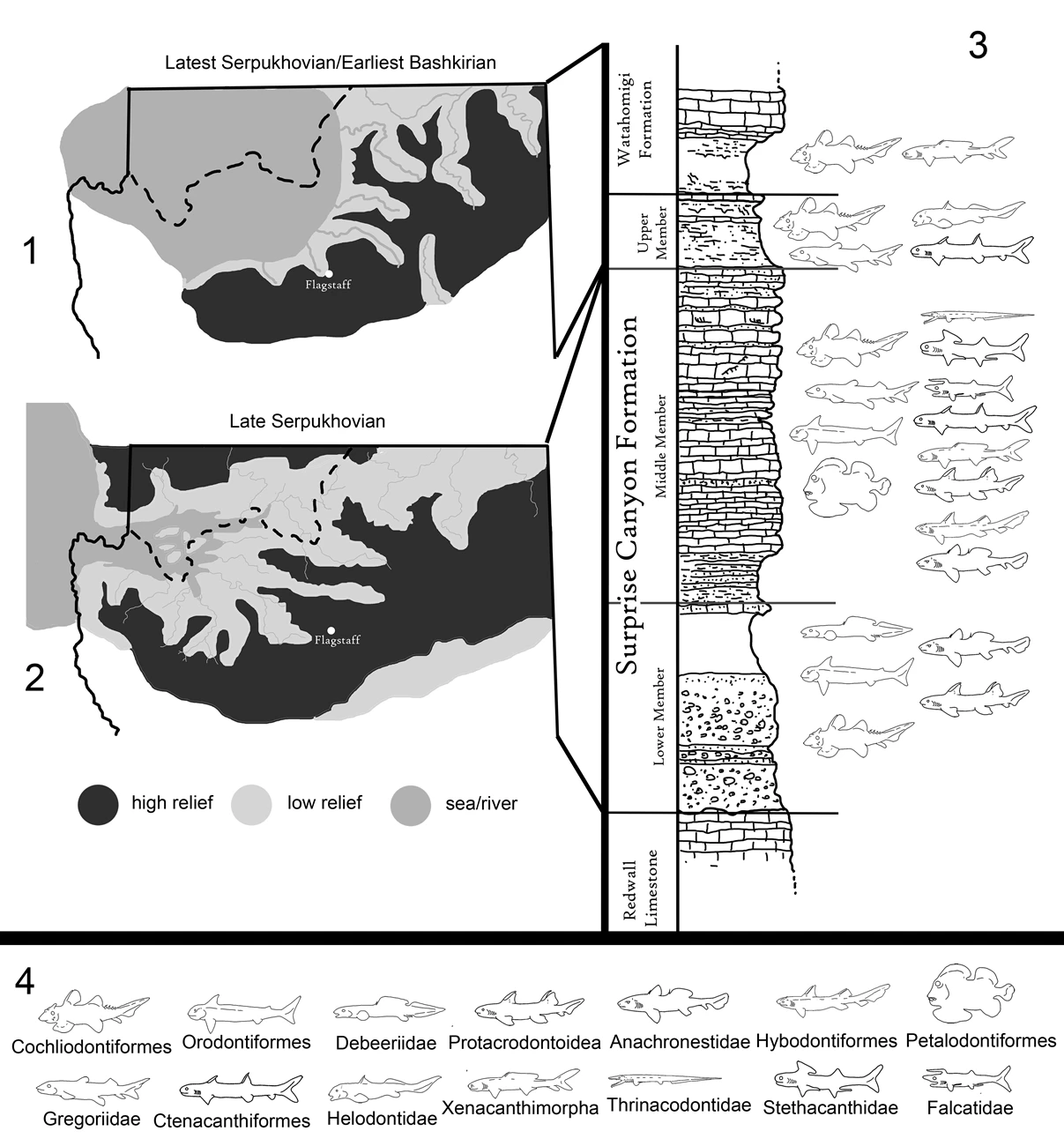 Paleogeography, generalized stratigraphy, and major taxonomic groups of chondrichthyans from the Surprise Canyon and Watahomigi Formations at the Grand Canyon Paleogeography, generalized stratigraphy, and major taxonomic groups of chondrichthyans from the Surprise Canyon and Watahomigi Formations at the Grand Canyon