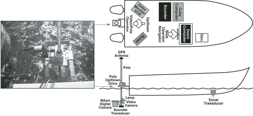 Figure 10 (description follows)