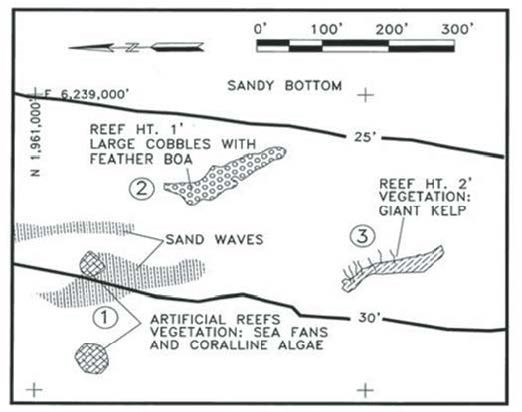 Figure 19 (description follows)