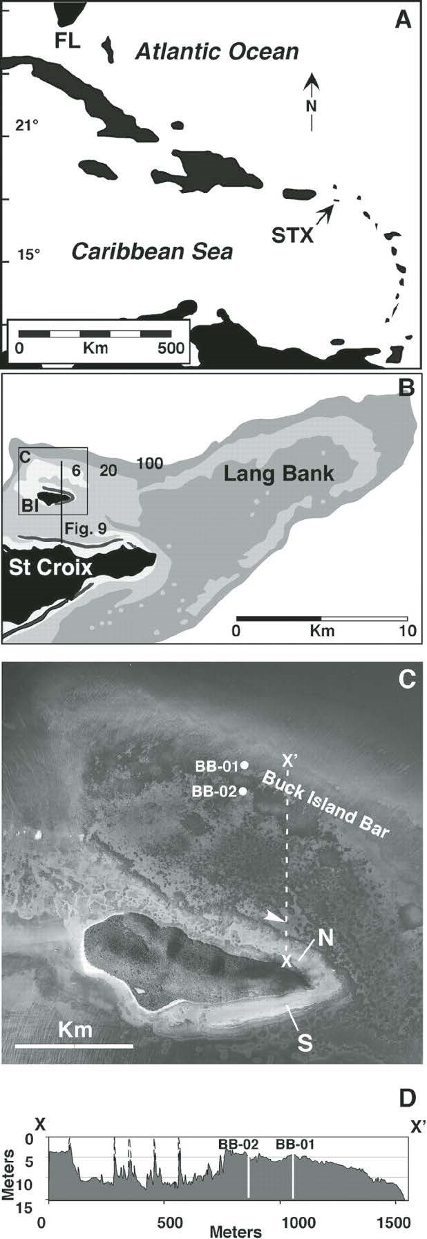 Figure 21 (description follows)