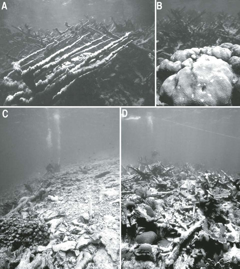 Figure 23 (description follows)