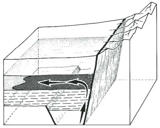 Figure 5 (description follows)