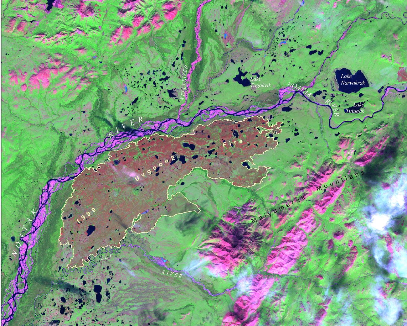 Uvgoon Fire A glaringly bright satellite image with intense neon greens and fuchsia colors.