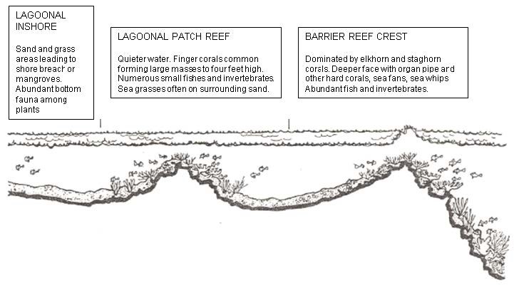 Figure 7 (description follows)