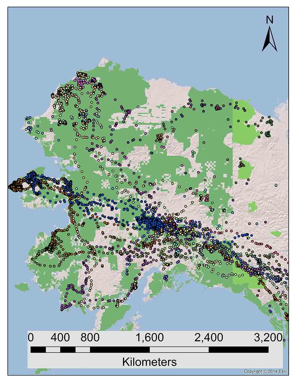 Statewide Movements Of Non Territorial Golden Eagles In