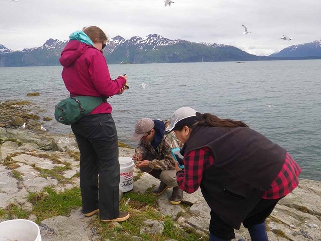 A group of three people collecting eggs and recording harvest.