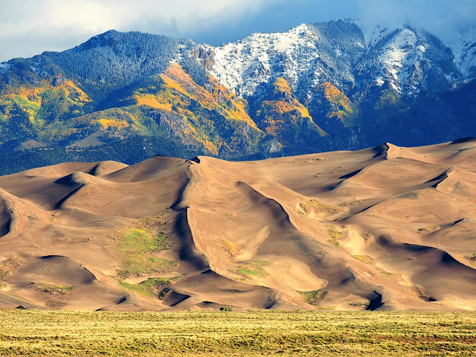 sand dunes with yellow grass in foreground and snow-capped mountains in the background