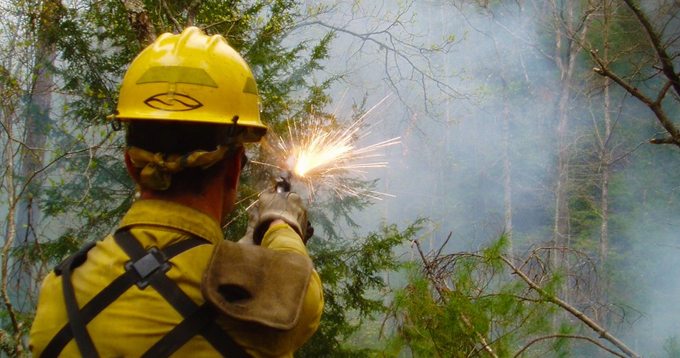 Flare gun used to ignite prescribed fire in Great Smoky Mountains National Park Wildland firefighter uses a flare gun to ignite a prescribed fire in a wooded area.