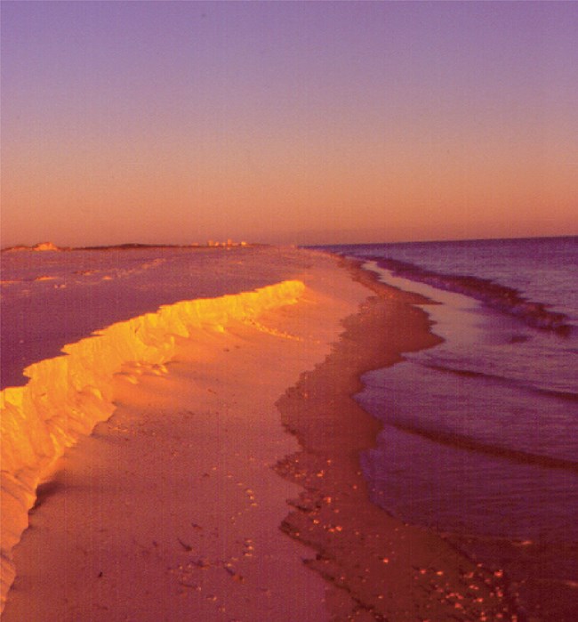 sandy beach at sunset