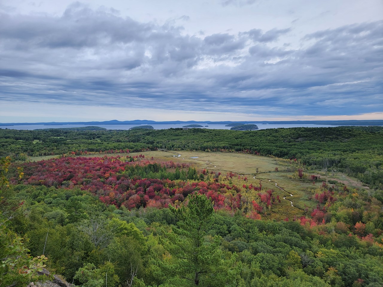 Great Meadow Fall large swatch of meadow with trees with red leaves viewed from high on a mountain