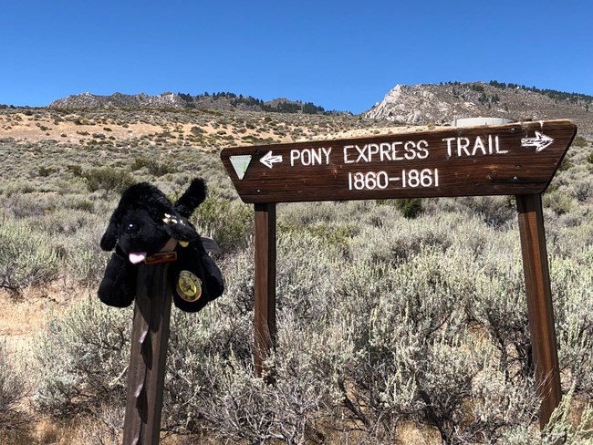 toy dog near Pony Express sign