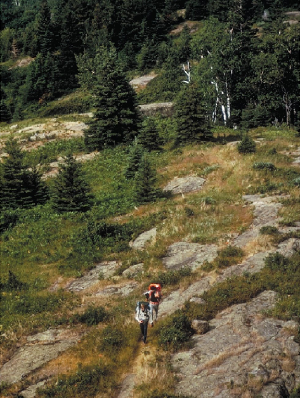 ISRO basalt flow rocks@10x_crop hikers on rock outcrops with forest in background