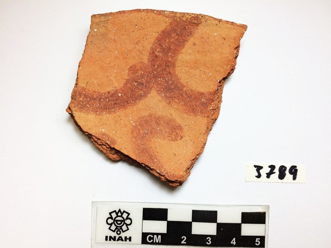Orange ceramic sherd Orange ceramic sherd