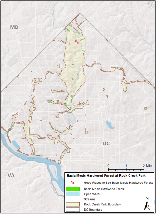Basic Mesic Hardwood Forest highlighted in green on a map of Rock Creek Park