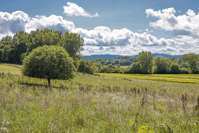 View west to Catskill Mountains of gently sloping farmland A view of fallow farm land at Martin Van Buren National Historic Site
