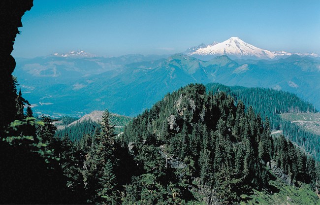 NOCA mt baker forested mountains with snow covered peak in the distance