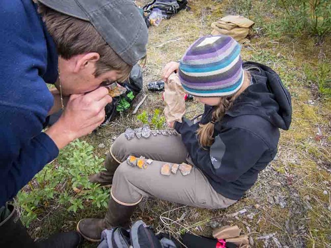 Two scientists examine lichens.