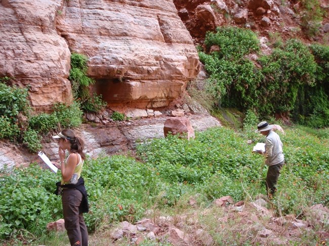 Two people who are holding clipboards observe some red rocks, which have plants growing on them.