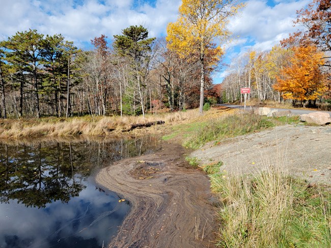 Plugged Culvert water from a stream crests the bank close to flooding a road