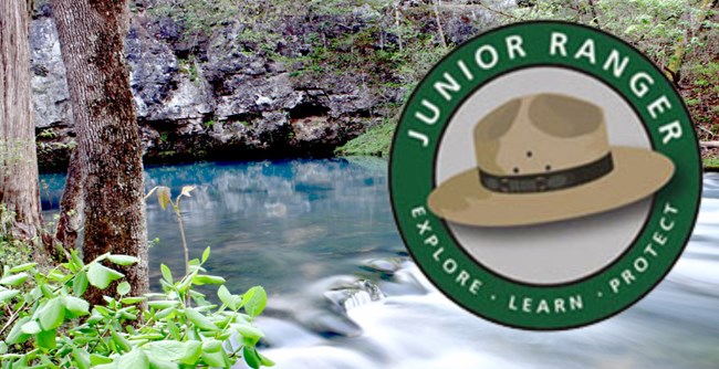 Junior Ranger badge with hat on picture of a blue spring