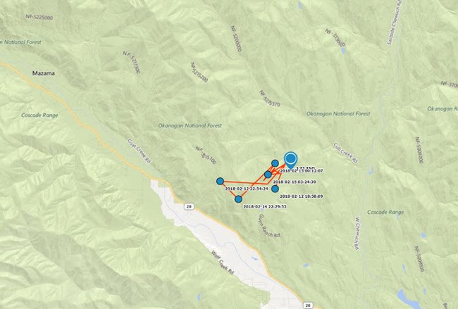 Clark's nutcracker movements Map with a cluster of points representing five days of a Clark's nutcracker's movements